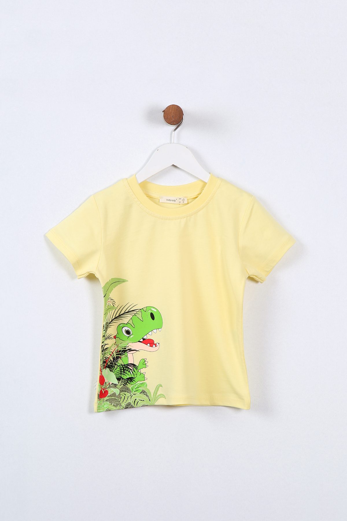 Boy Dinosaur Printed T-Shirt / 2-3 Y | 3-4 Y | 4-5 Y | 5-6 Y - Kids Fashion Turkey