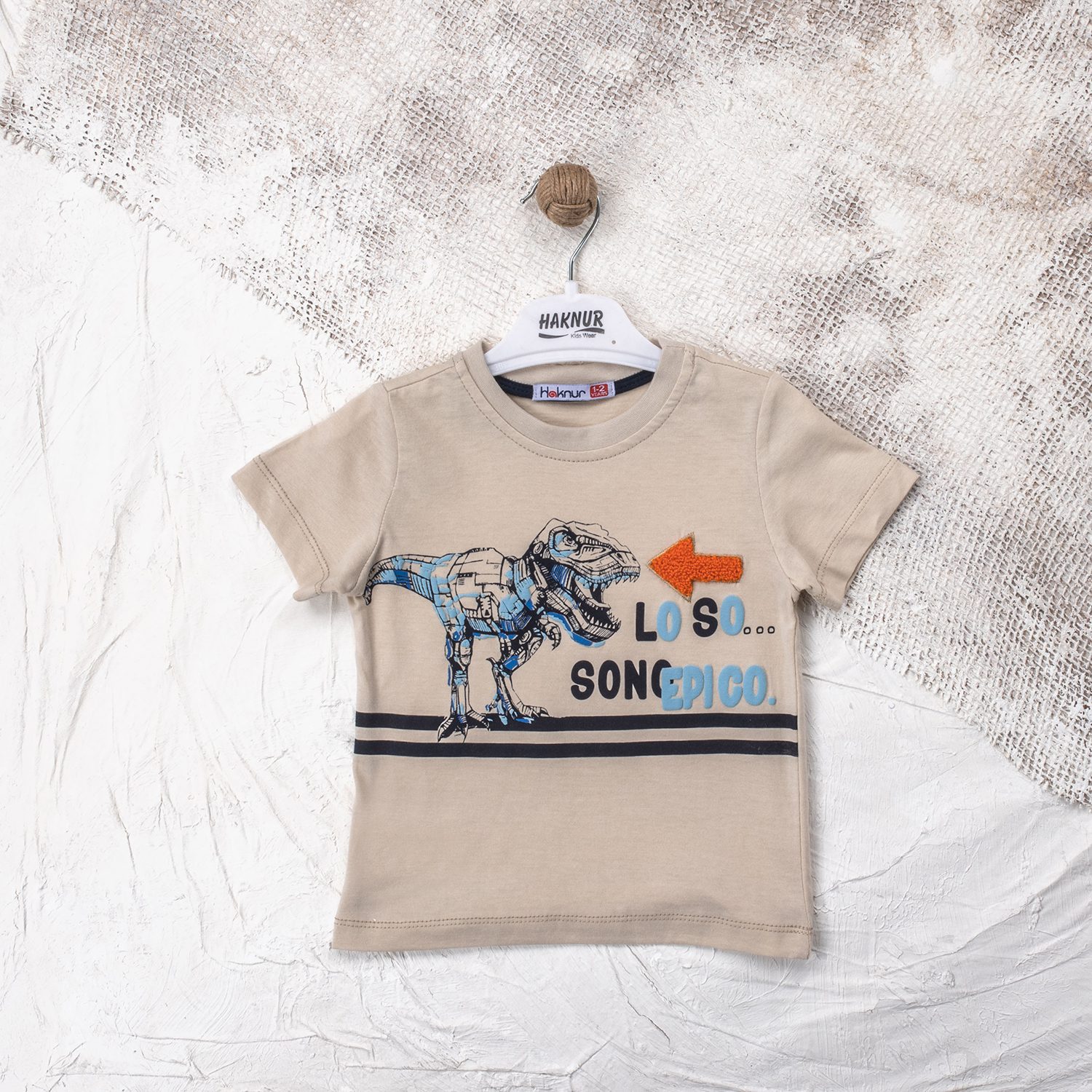 Boy Dinosaur Printed T-Shirt / 1-2Y | 2-3Y | 3-4Y | 4-5Y - Kids Fashion Turkey
